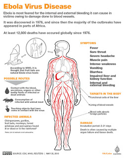 Ebola Virus Disease infographics