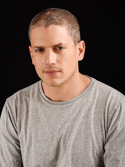 Wentworth Miller Biography: Age, Family, Movies, Net Worth & Pictures