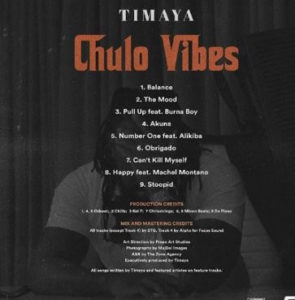 DOWNLOAD MP3: Timaya - Stoopid