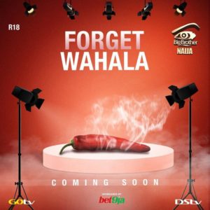 'Forget Wahala' - Big Brother Teases Fans with Theme For 2019 Edition