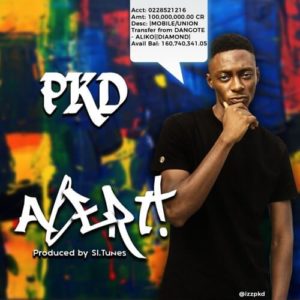 PKD - Alert mp3