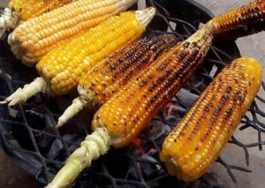 Roasted Corn