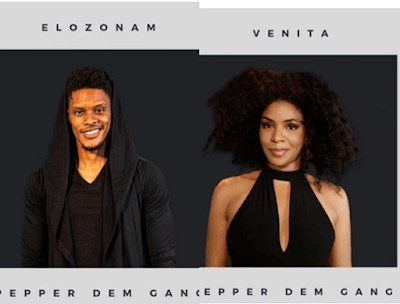 BBNAIJA 2019: Meet The Two New Housemates, Venita & Elozonam | Profile | Pictures