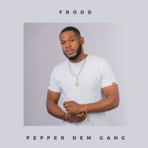 Frodd BBNaija