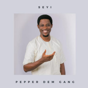 Seyi Awolowo bbnAIJA