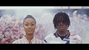 Fireboy - DML - King Mp4 download