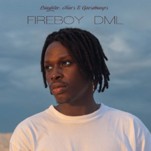 DOWNLOAD MP3: Fireboy DML- Need You