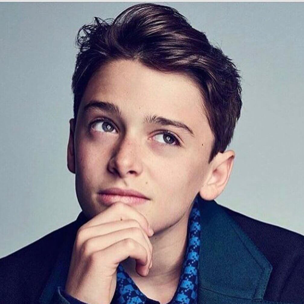 Noah Schnapp Biography: Age, Twin, Height, Net Worth & Pictures
