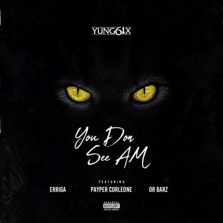 Download Yung6ix - You Don See Am Ft. Erigga, Payper Corleone, Dr Barz Mp3