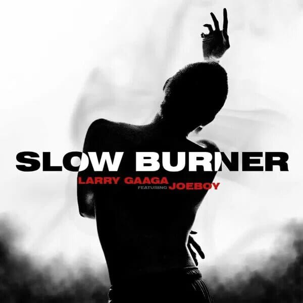 Download Larry Gaaga - Slow Burner Ft. Joeboy Mp3