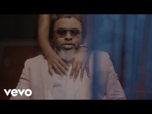 VIDEO: Larry Gaaga - Slow Burner Ft. Joeboy MP4 Download