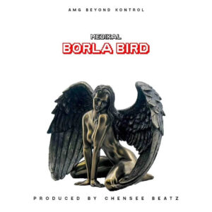 Download Medikal - Borla Bird Mp3
