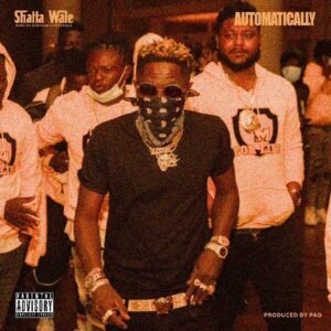 DOWNLOAD Shatta Wale - Automatically MP3