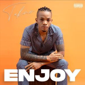 Tekno - Enjoy MP3 DOWNLOAD