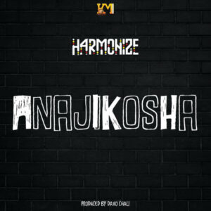 DOWNLOAD Harmonize - Anajikosha MP3