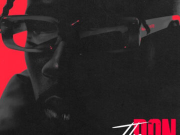 DOWNLOAD Mr Eazi - The Don MP3