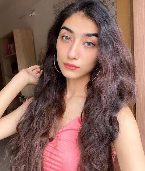 Nazila Sitaishi Wiki (Munawar Faruqui Girlfriend): Bio, Age, Height, Family, Net Worth