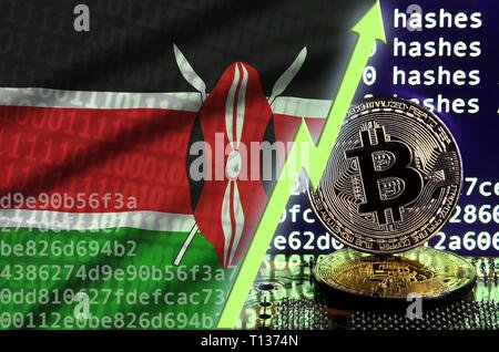 Rising Bitcoin Trend In Kenya: Exploring Its Popularity